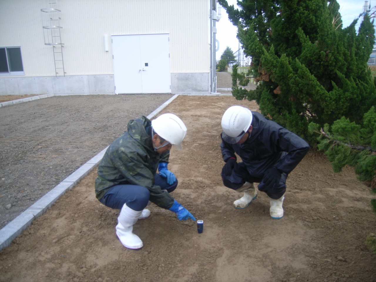 土壌調査1